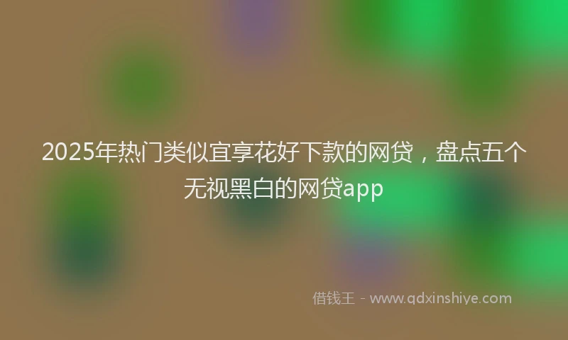 2025年热门类似宜享花好下款的网贷，盘点五个无视黑白的网贷app