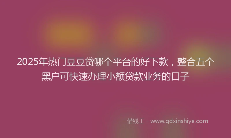 2025年热门豆豆贷哪个平台的好下款，整合五个黑户可快速办理小额贷款业务的口子