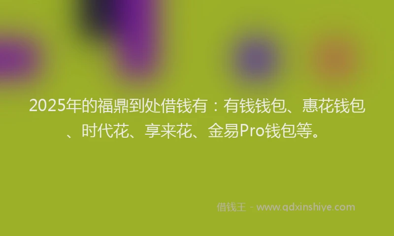 2025年的福鼎到处借钱有：有钱钱包、惠花钱包、时代花、享来花、金易Pro钱包等。