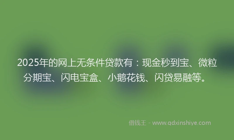 2025年的网上无条件贷款有：现金秒到宝、微粒分期宝、闪电宝盒、小鹅花钱、闪贷易融等。