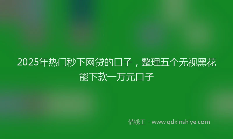 2025年热门秒下网贷的口子，整理五个无视黑花能下款一万元口子
