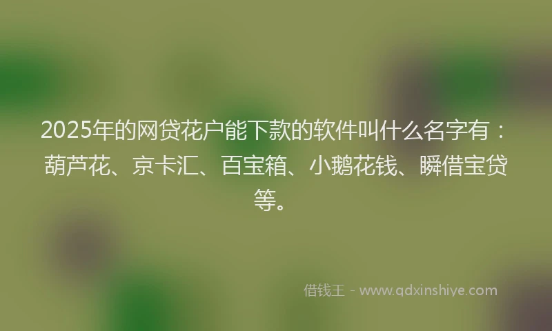 2025年的网贷花户能下款的软件叫什么名字有：葫芦花、京卡汇、百宝箱、小鹅花钱、瞬借宝贷等。