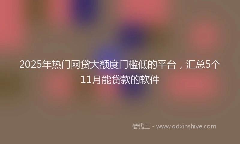2025年热门网贷大额度门槛低的平台，汇总5个11月能贷款的软件