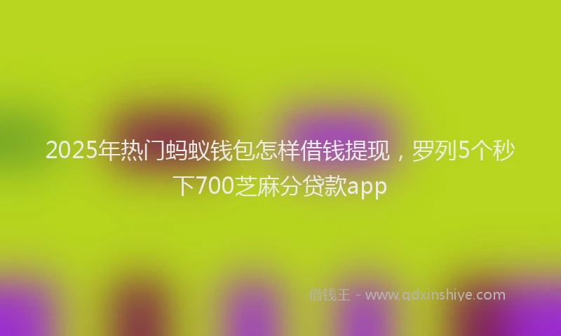 2025年热门蚂蚁钱包怎样借钱提现，罗列5个秒下700芝麻分贷款app