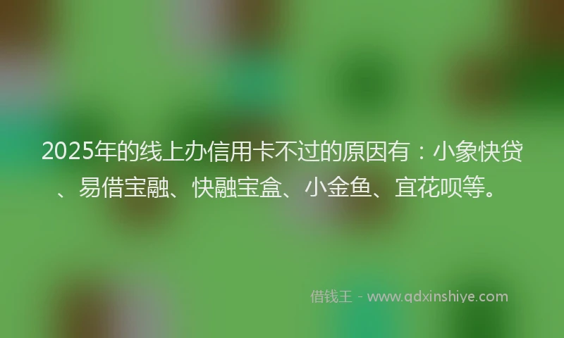 2025年的线上办信用卡不过的原因有：小象快贷、易借宝融、快融宝盒、小金鱼、宜花呗等。