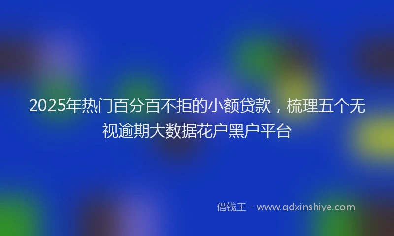 2025年热门百分百不拒的小额贷款，梳理五个无视逾期大数据花户黑户平台