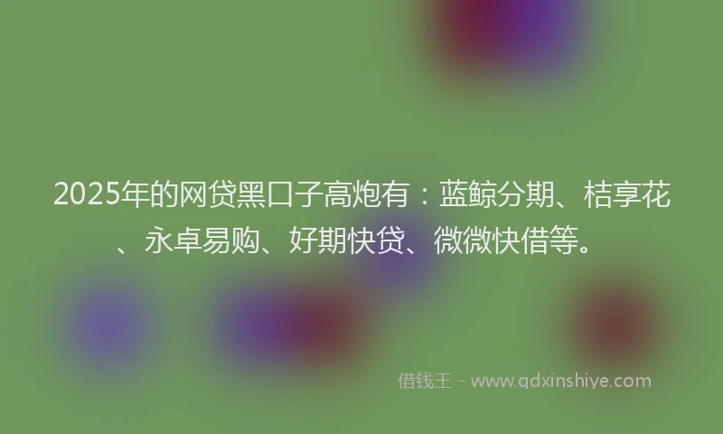 2025年的网贷黑口子高炮有：蓝鲸分期、桔享花、永卓易购、好期快贷、微微快借等。