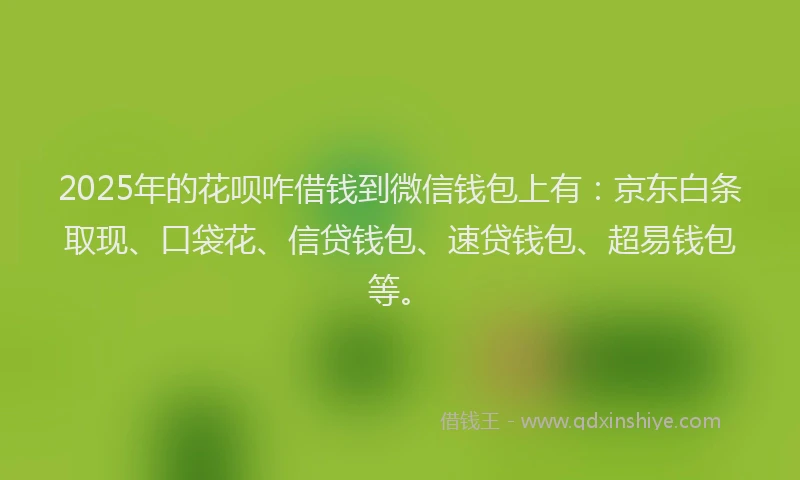 2025年的花呗咋借钱到微信钱包上有：京东白条取现、口袋花、信贷钱包、速贷钱包、超易钱包等。