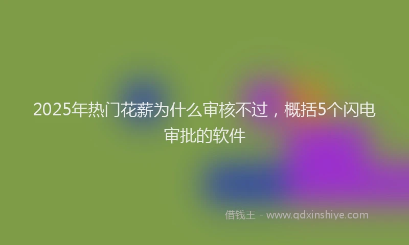 2025年热门花薪为什么审核不过，概括5个闪电审批的软件