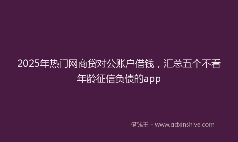2025年热门网商贷对公账户借钱，汇总五个不看年龄征信负债的app