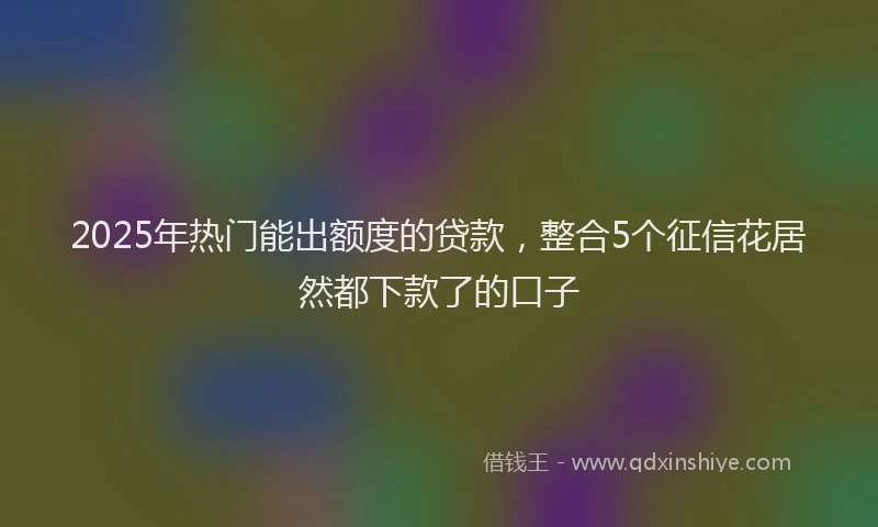 2025年热门能出额度的贷款，整合5个征信花居然都下款了的口子