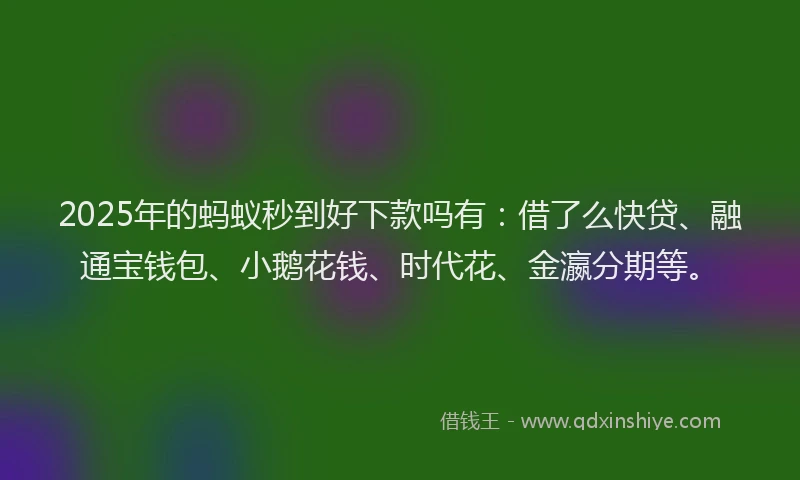 2025年的蚂蚁秒到好下款吗有：借了么快贷、融通宝钱包、小鹅花钱、时代花、金瀛分期等。