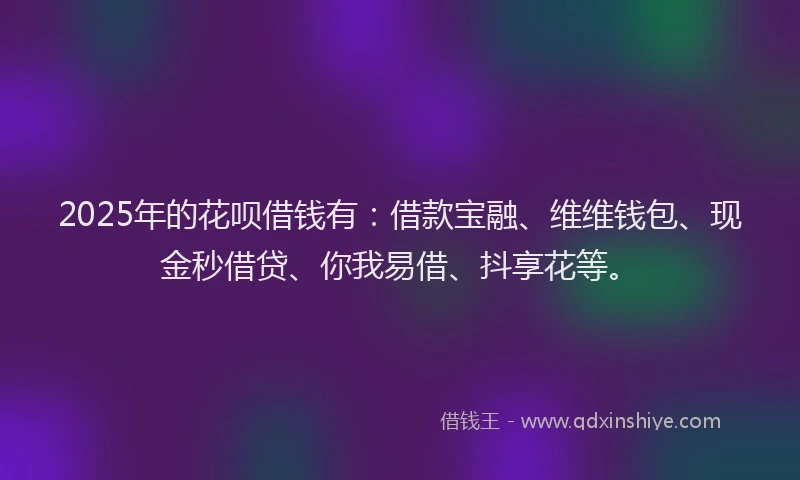 2025年的花呗借钱有：借款宝融、维维钱包、现金秒借贷、你我易借、抖享花等。