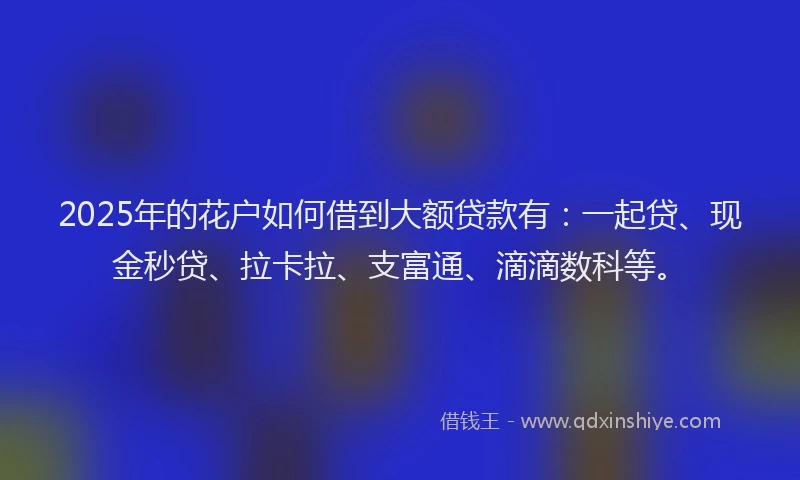 2025年的花户如何借到大额贷款有：一起贷、现金秒贷、拉卡拉、支富通、滴滴数科等。