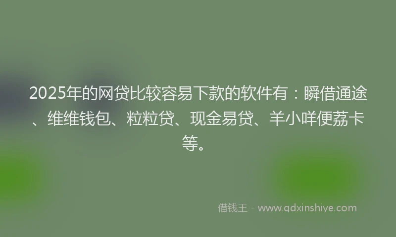 2025年的网贷比较容易下款的软件有：瞬借通途、维维钱包、粒粒贷、现金易贷、羊小咩便荔卡等。