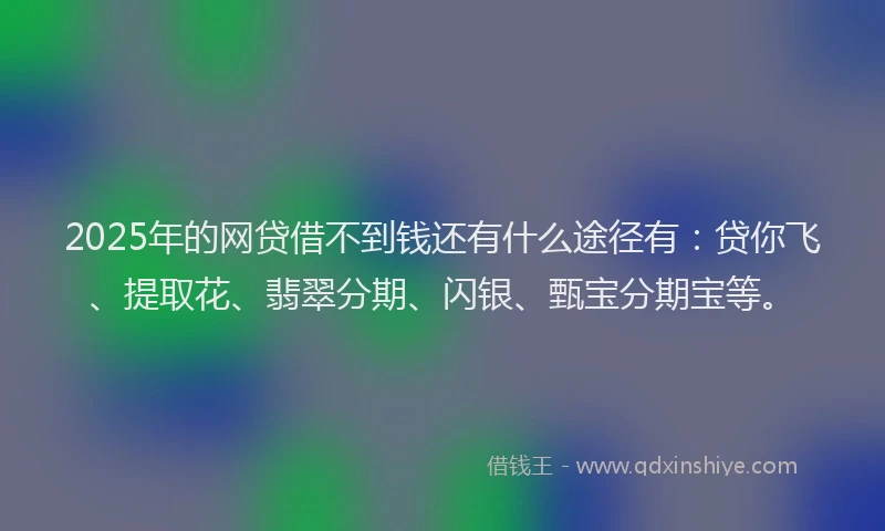 2025年的网贷借不到钱还有什么途径有：贷你飞、提取花、翡翠分期、闪银、甄宝分期宝等。