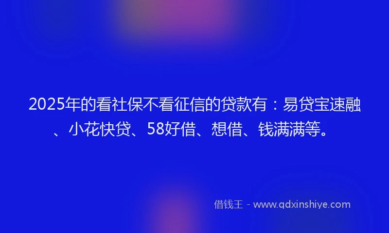 2025年的看社保不看征信的贷款有：易贷宝速融、小花快贷、58好借、想借、钱满满等。