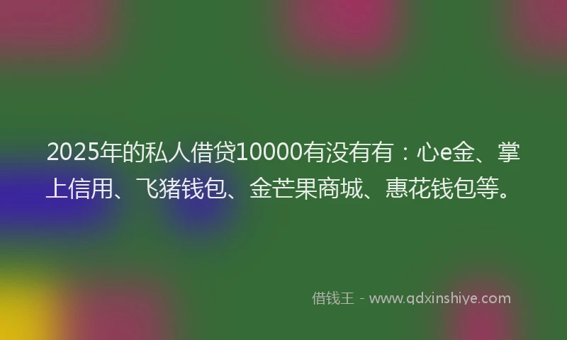 2025年的私人借贷10000有没有有：心e金、掌上信用、飞猪钱包、金芒果商城、惠花钱包等。