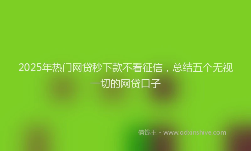 2025年热门网贷秒下款不看征信，总结五个无视一切的网贷口子