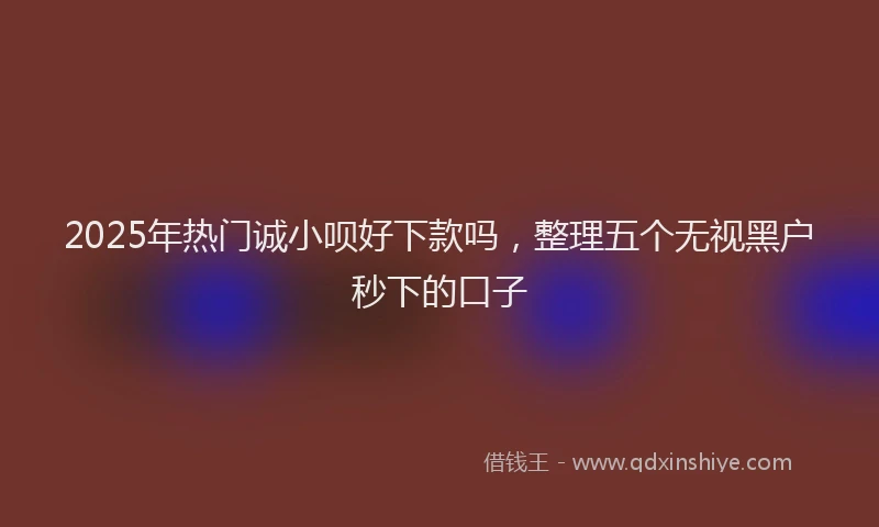 2025年热门诚小呗好下款吗，整理五个无视黑户秒下的口子