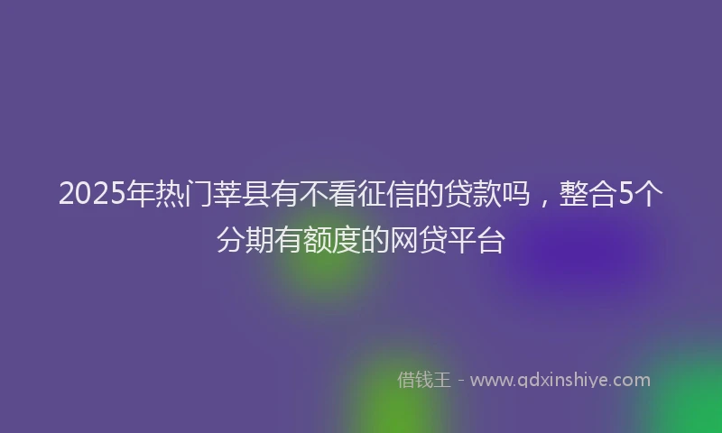 2025年热门莘县有不看征信的贷款吗，整合5个分期有额度的网贷平台