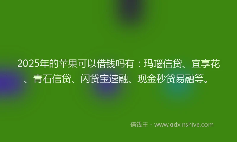 2025年的苹果可以借钱吗有：玛瑙信贷、宜享花、青石信贷、闪贷宝速融、现金秒贷易融等。