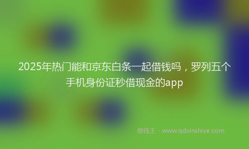 2025年热门能和京东白条一起借钱吗，罗列五个手机身份证秒借现金的app