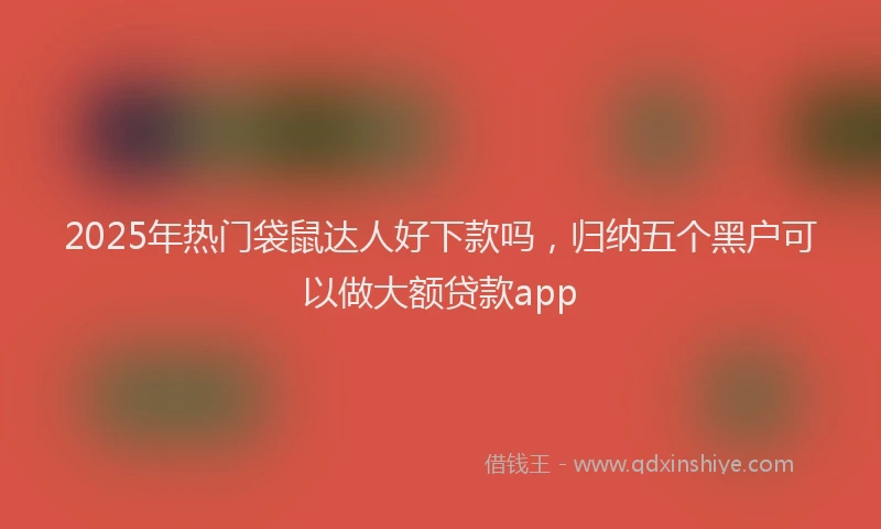 2025年热门袋鼠达人好下款吗，归纳五个黑户可以做大额贷款app