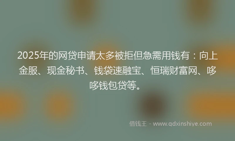 2025年的网贷申请太多被拒但急需用钱有：向上金服、现金秘书、钱袋速融宝、恒瑞财富网、哆哆钱包贷等。