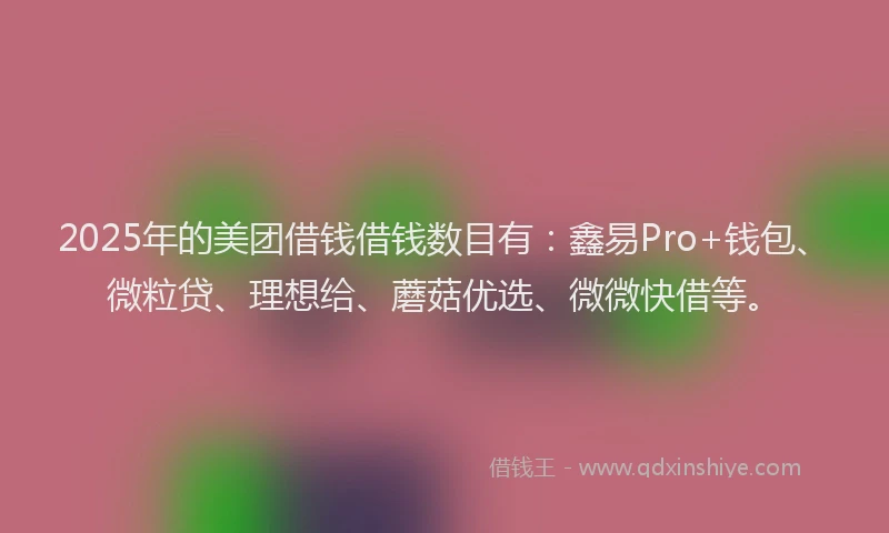 2025年的美团借钱借钱数目有：鑫易Pro+钱包、微粒贷、理想给、蘑菇优选、微微快借等。
