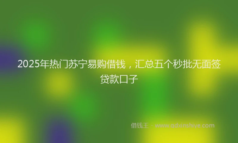 2025年热门苏宁易购借钱，汇总五个秒批无面签贷款口子