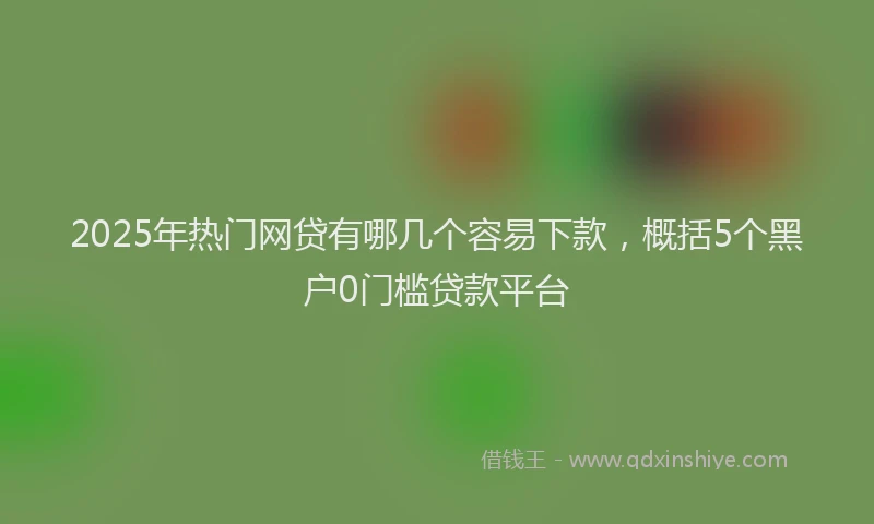 2025年热门网贷有哪几个容易下款，概括5个黑户0门槛贷款平台