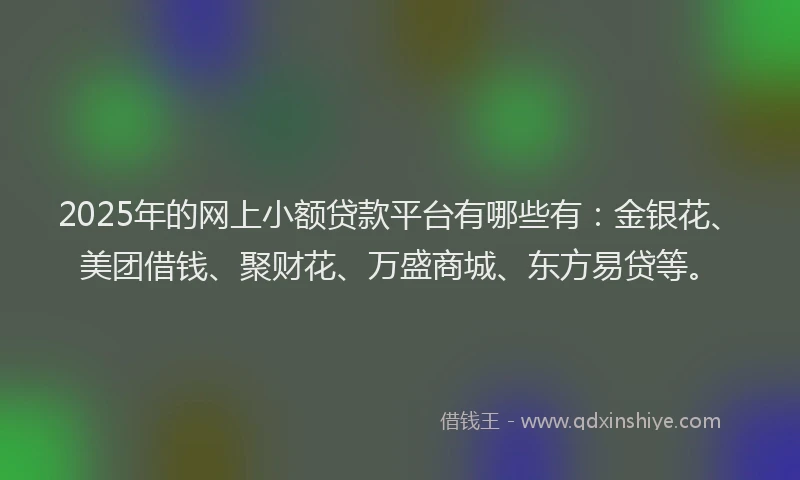 2025年的网上小额贷款平台有哪些有：金银花、美团借钱、聚财花、万盛商城、东方易贷等。