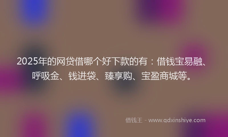 2025年的网贷借哪个好下款的有：借钱宝易融、呼吸金、钱进袋、臻享购、宝盈商城等。