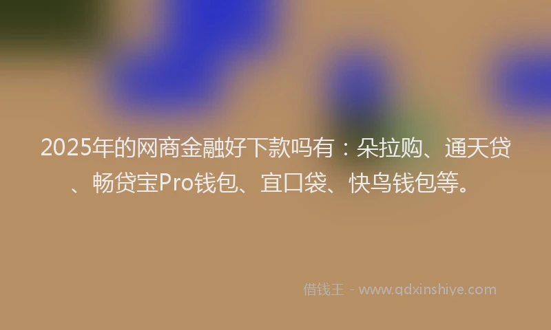 2025年的网商金融好下款吗有：朵拉购、通天贷、畅贷宝Pro钱包、宜口袋、快鸟钱包等。