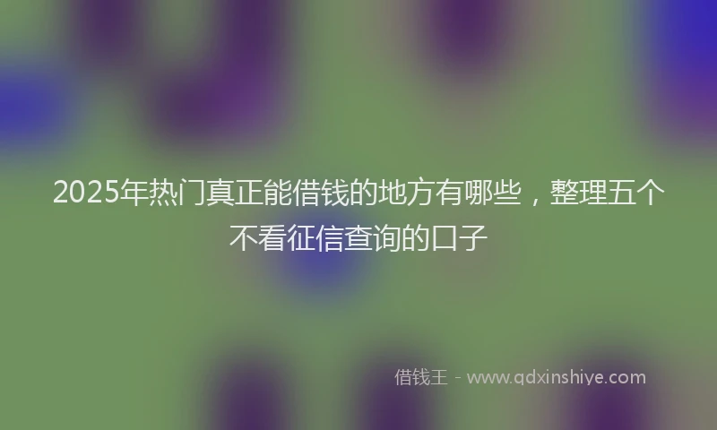 2025年热门真正能借钱的地方有哪些，整理五个不看征信查询的口子