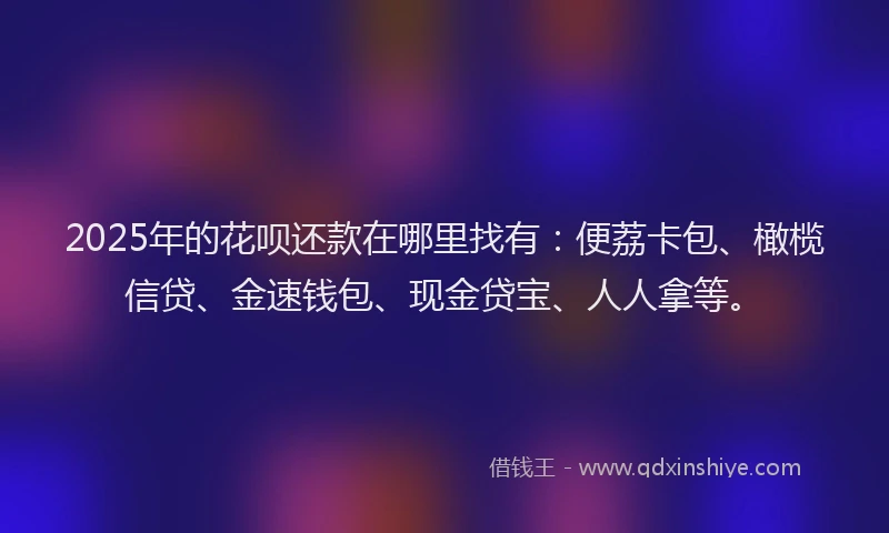 2025年的花呗还款在哪里找有：便荔卡包、橄榄信贷、金速钱包、现金贷宝、人人拿等。