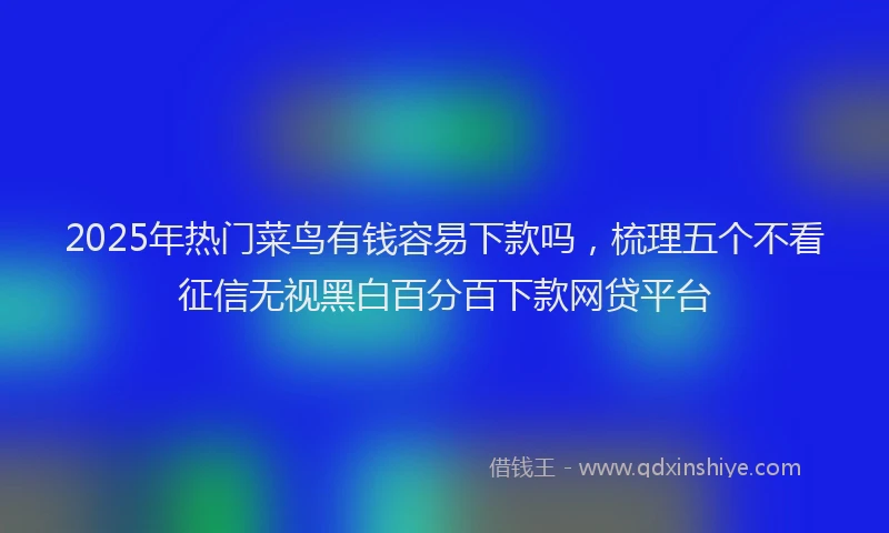 2025年热门菜鸟有钱容易下款吗，梳理五个不看征信无视黑白百分百下款网贷平台