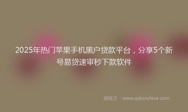 2025年热门苹果手机黑户贷款平台，分享5个新号易贷速审秒下款软件