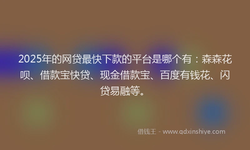 2025年的网贷最快下款的平台是哪个有：森森花呗、借款宝快贷、现金借款宝、百度有钱花、闪贷易融等。