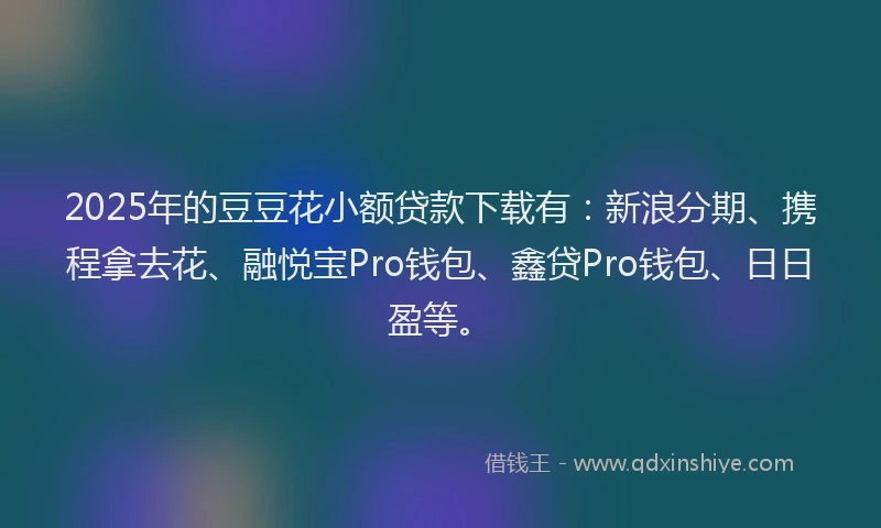 2025年的豆豆花小额贷款下载有：新浪分期、携程拿去花、融悦宝Pro钱包、鑫贷Pro钱包、日日盈等。