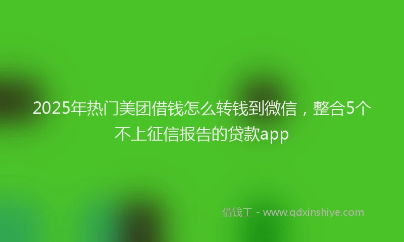 2025年热门美团借钱怎么转钱到微信，整合5个不上征信报告的贷款app