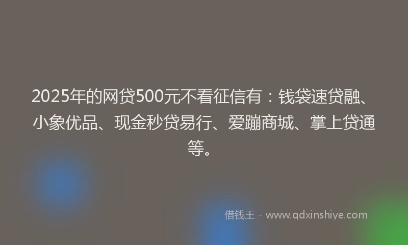 2025年的网贷500元不看征信有：钱袋速贷融、小象优品、现金秒贷易行、爱蹦商城、掌上贷通等。