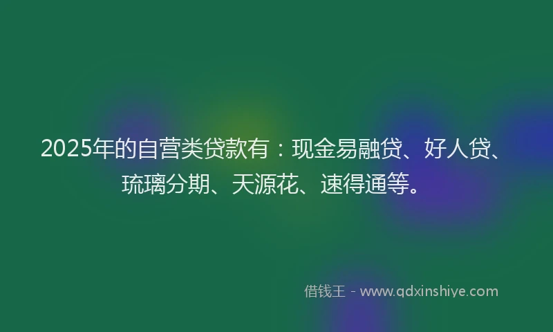 2025年的自营类贷款有：现金易融贷、好人贷、琉璃分期、天源花、速得通等。