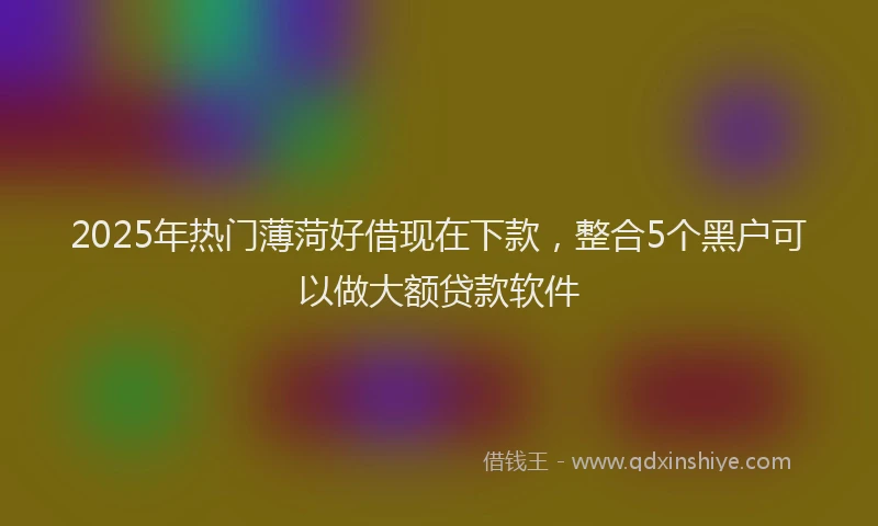 2025年热门薄菏好借现在下款，整合5个黑户可以做大额贷款软件