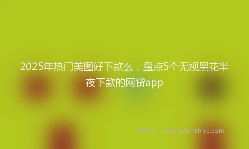 2025年热门美图好下款么，盘点5个无视黑花半夜下款的网贷app