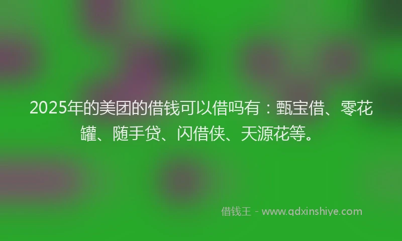 2025年的美团的借钱可以借吗有：甄宝借、零花罐、随手贷、闪借侠、天源花等。