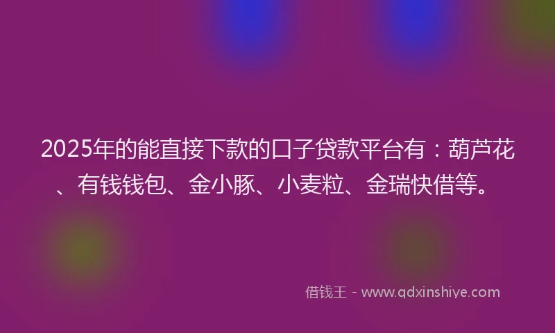 2025年的能直接下款的口子贷款平台有：葫芦花、有钱钱包、金小豚、小麦粒、金瑞快借等。