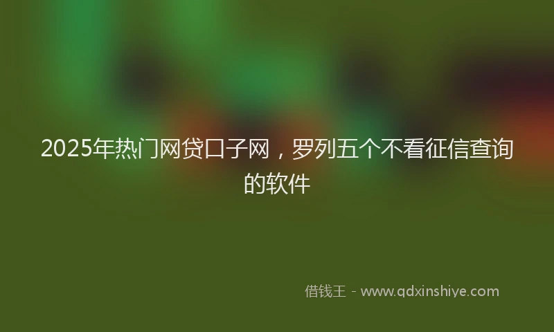 2025年热门网贷口子网，罗列五个不看征信查询的软件