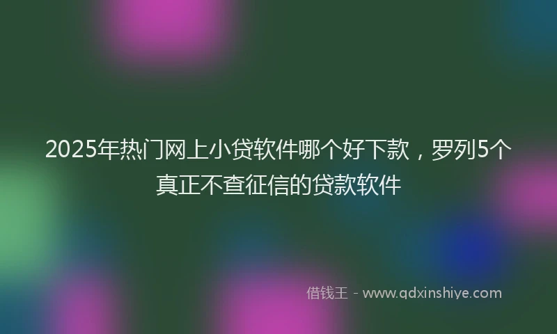2025年热门网上小贷软件哪个好下款，罗列5个真正不查征信的贷款软件